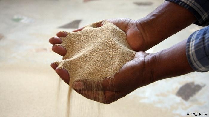 Teff: o grão etíope que começa a chamar a atenção do mundo