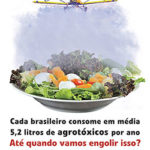 A fragilidade da Anvisa X o uso indiscriminado de agrotóxicos no Brasil