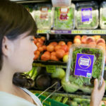 Produzidos sem agrotóxicos, alimentos orgânicos buscam mais espaço na mesa do consumidor