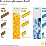 Lavouras transgênicas avançam no Brasil e já ocupam mais de 42 milhões de hectares