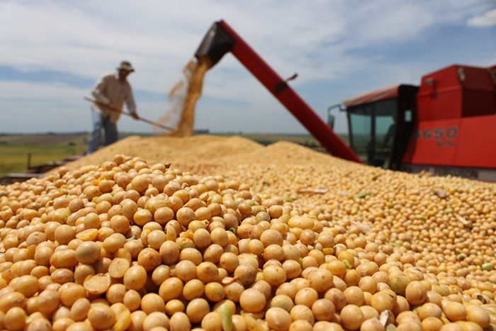 Safra brasileira de grãos 2015/16 deve atingir 210,3 milhões de toneladas