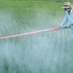 Brasil: líder mundial no uso de agrotóxicos, reduz ou zera impostos dessas substâncias e ainda permite pesticidas proibidos em outros países