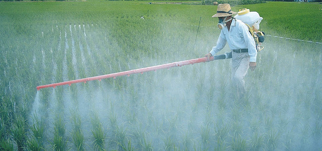 Brasil: líder mundial no uso de agrotóxicos, reduz ou zera impostos dessas substâncias e ainda permite pesticidas proibidos em outros países