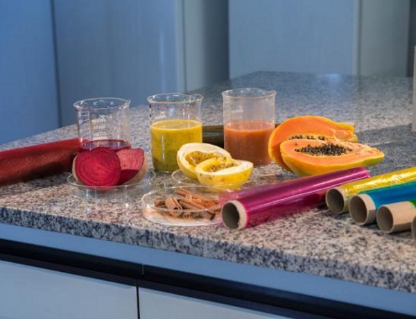 Pesquisadores usam frutas e verduras para criar plástico comestível e biodegradável