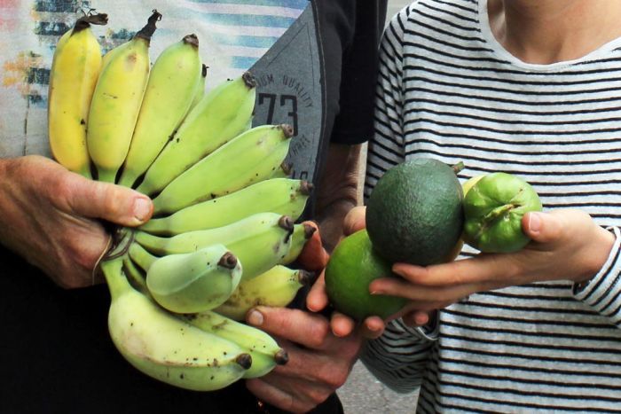 Austrália: um bairro onde moradores plantam  e colhem o próprio alimento nas ruas