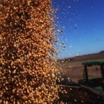 Safra de grãos recorde pode chegar a 227,9 milhões de toneladas de grãos