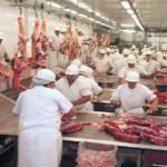 Operação Carne Fraca: Ministério da Agricultura encontra bactérias em 8 de 302 amostras de frigoríficos, cancela registros e amplia fiscalização