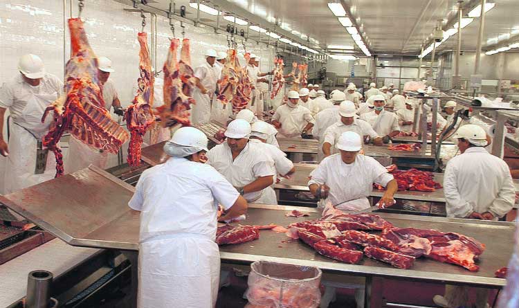 Operação Carne Fraca: Ministério da Agricultura encontra bactérias em 8 de 302 amostras de frigoríficos, cancela registros e amplia fiscalização