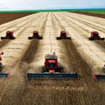 Safra de grãos poderá atingir recorde histórico com 234,3 milhões de toneladas