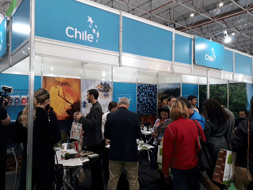 Brasil e Chile debatem sistema inédito de certificação orgânica na América do Sul