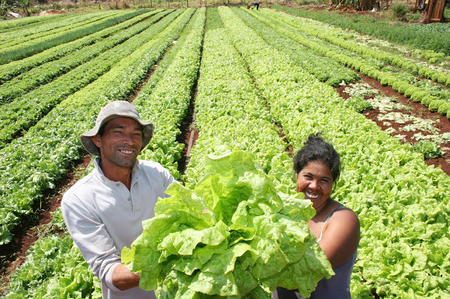 Em 7 anos, Brasil triplica o número de agricultores orgânicos registrados
