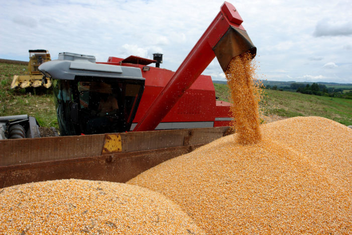 Brasil colhe safra recorde, mas preços dos alimentos não recuam